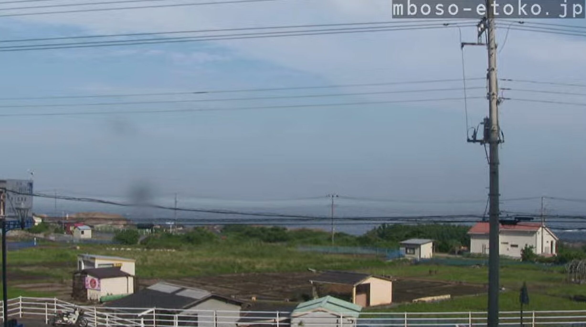 白間津お花畑ライブカメラ(千葉県南房総市千倉町白間津)