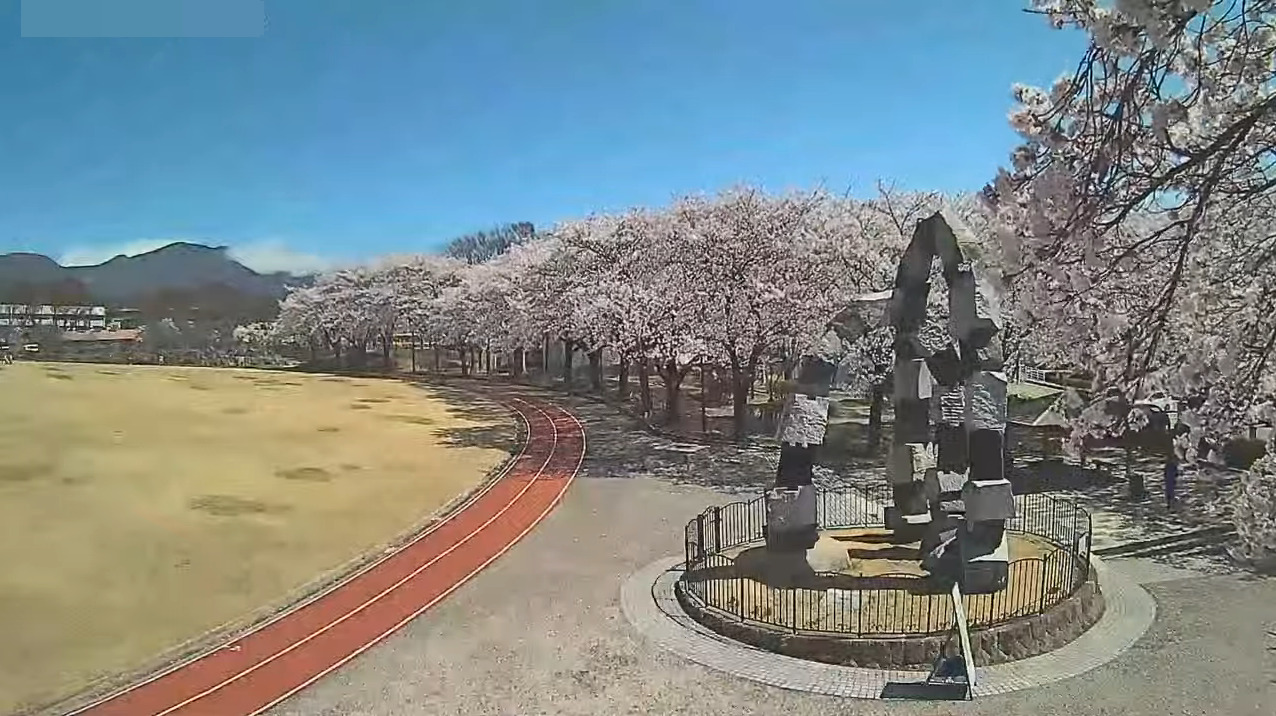 東御中央公園桜並木ライブカメラ(長野県東御市常田)
