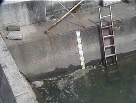笠岡港水位