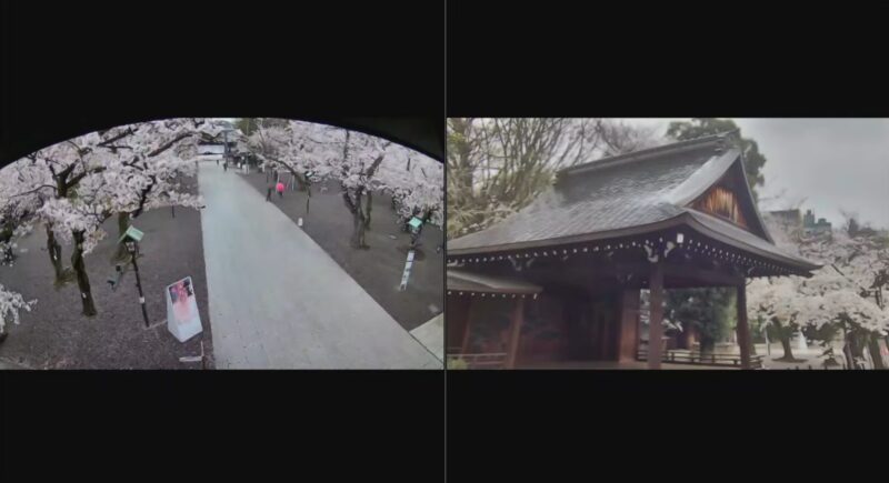 靖国神社桜ライブカメラ(東京都千代田区九段北)