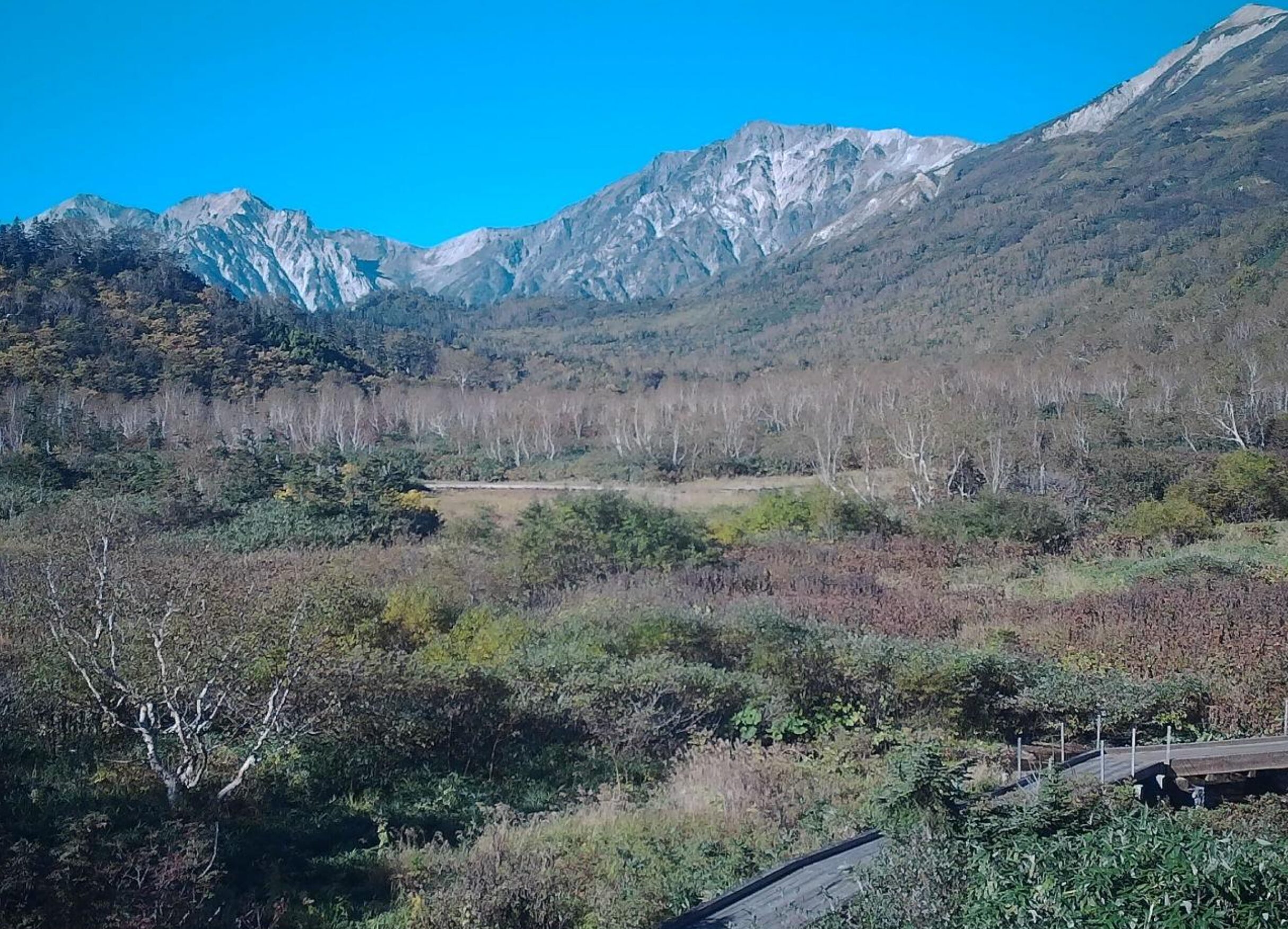 栂池自然園みずばしょう湿原白馬三山ライブカメラ(長野県小谷村千国乙)