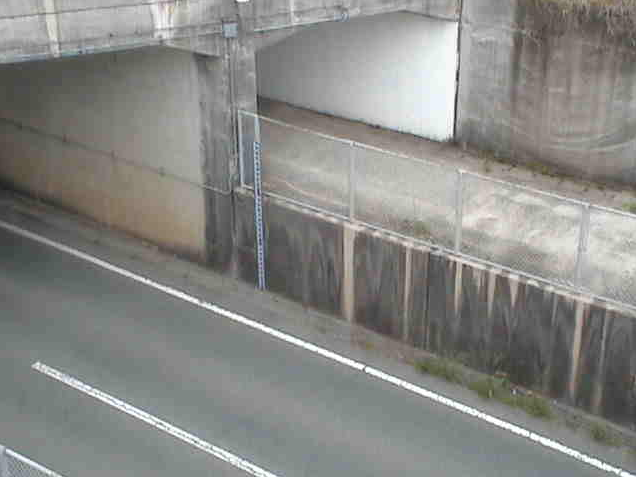 熊本県道112号長洲玉名線長洲JRガード下冠水