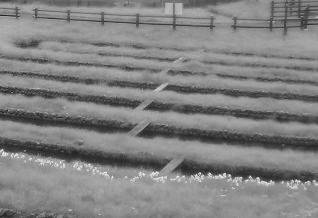 ほたる童謡公園