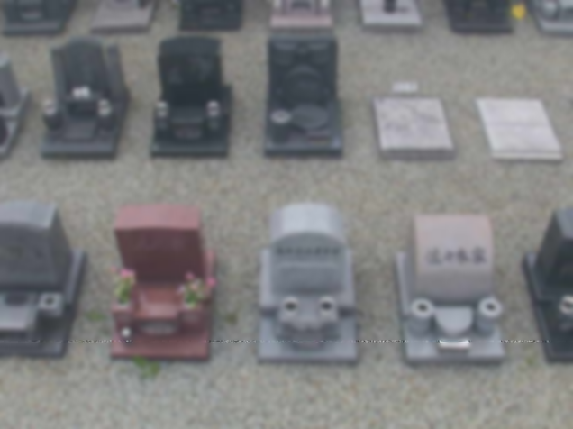 日蓮宗本国寺好縁墓1段目