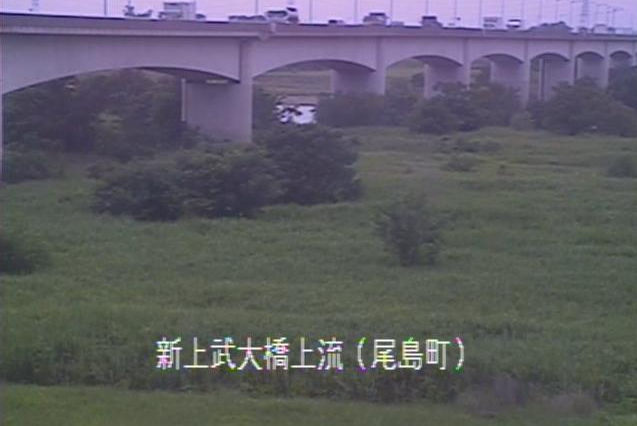 利根川新上武大橋上流ライブカメラは、群馬県太田市武蔵島町の新上武大橋上流に設置された利根川が見えるライブカメラです。