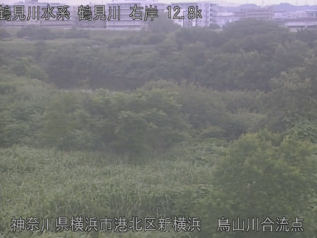 神奈川県横浜市港北区の鳥山川合流点に設置された鶴見川が見えるライブカメラです。