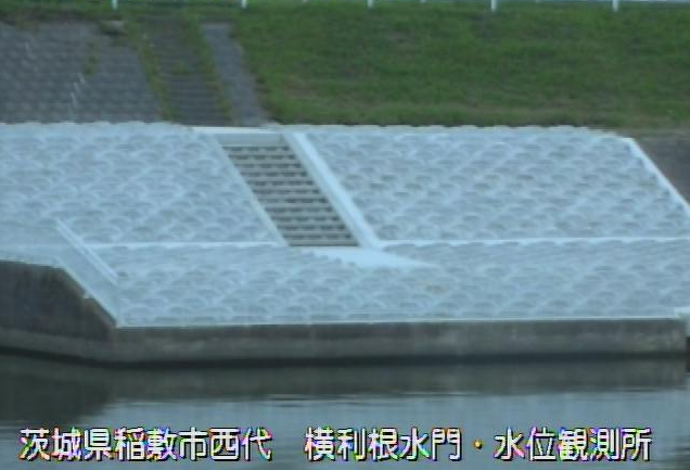 茨城県稲敷市西代の横利根水位観測所に設置された利根川が見えるライブカメラです。