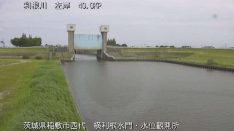 横利根川横利根水位観測所ライブカメラ(茨城県稲敷市西代)