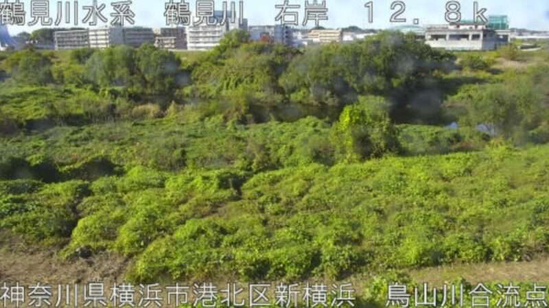 鶴見川鳥山川合流点ライブカメラ(神奈川県横浜市港北区)