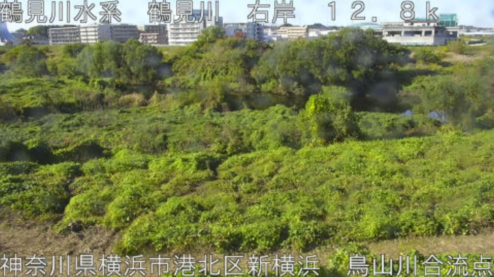 鶴見川鳥山川合流点ライブカメラ(神奈川県横浜市港北区)