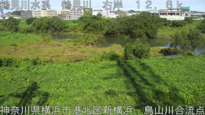 鶴見川鳥山川合流点ライブカメラ(神奈川県横浜市港北区)