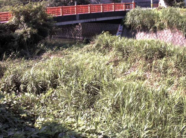 宇美川参宮橋ライブカメラは、福岡県宇美町井野の参宮橋に設置された宇美川が見えるライブカメラです。