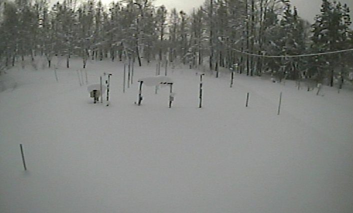 北海道大学低温科学研究所融雪観測室ライブカメラは、北海道幌加内町母子里の北海道大学低温科学研究所融雪観測室に設置された観測露場が見えるライブカメラです。