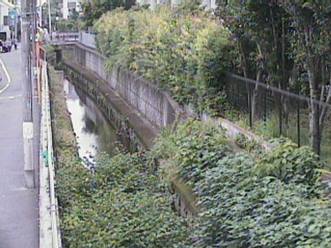 丸子川治大夫橋ライブカメラは、東京都世田谷区玉川の治大夫橋に設置された丸子川が見えるライブカメラです。
