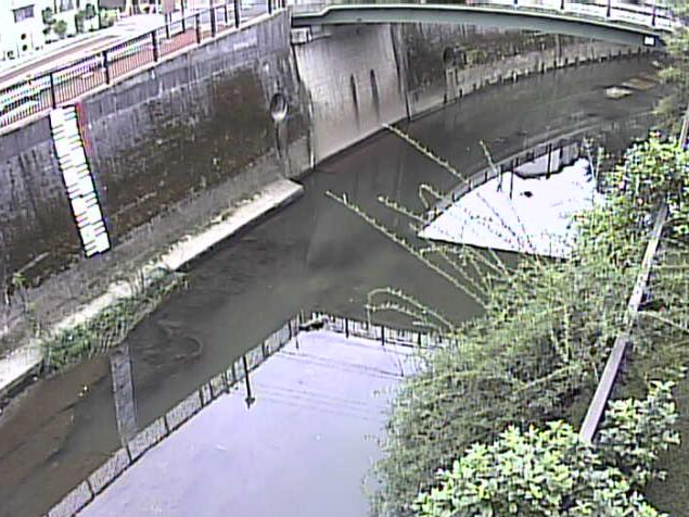 石神井川観音橋ライブカメラは、東京都北区滝野川の観音橋に設置された石神井川が見えるライブカメラです。