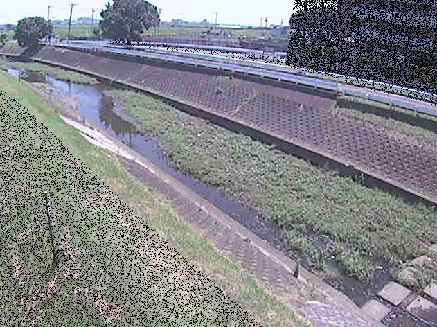 大根川真田橋ライブカメラは、神奈川県平塚市真田の真田橋に設置された大根川が見えるライブカメラです。