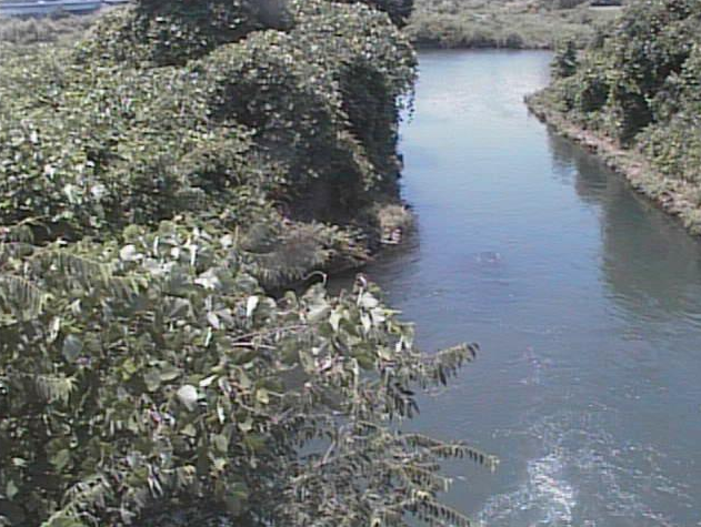 鳩川海老名分水路ライブカメラは、神奈川県海老名市上郷の海老名分水路に設置された鳩川が見えるライブカメラです。