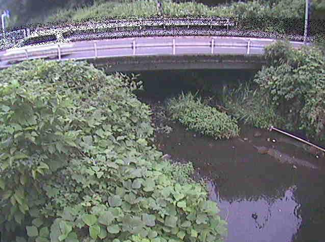 洞川新下原橋ライブカメラは、神奈川県南足柄市竹松の新下原橋に設置された洞川が見えるライブカメラです。