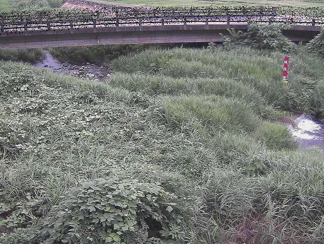 内川尾崎橋ライブカメラは、神奈川県南足柄市内山の尾崎橋に設置された内川が見えるライブカメラです。