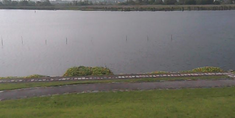 水生植物公園みずの森琵琶湖ライブカメラ(滋賀県草津市下物町)