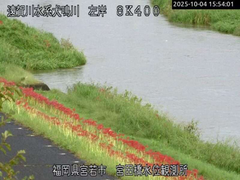 犬鳴川宮田橋水位観測所ライブカメラ(福岡県宮若市本城) 2025年10月4日 ヒガンバナ