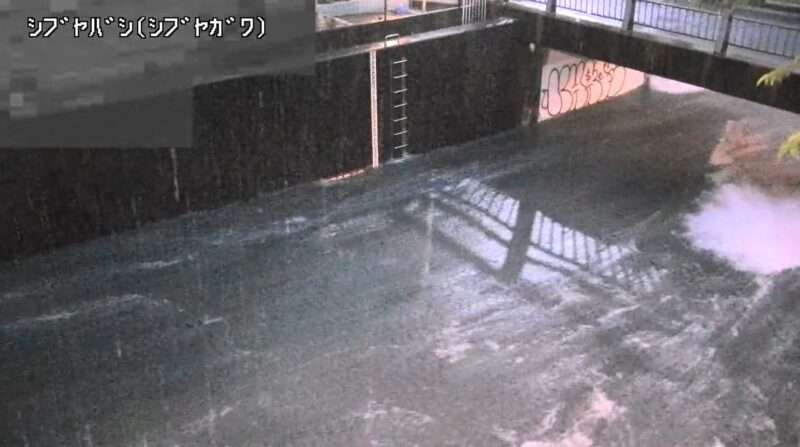 渋谷川渋谷橋水位観測所ライブカメラ(東京都渋谷区恵比寿) 2025年7月10日19時10分 氾濫危険水位