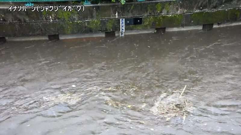 石神井川稲荷橋水位観測所ライブカメラ(東京都練馬区石神井台) 2025年9月11日15時25分 ゲリラ豪雨による大雨増水時 氾濫危険水位