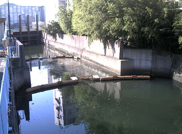 立会川河口部下流側ライブカメラは、東京都品川区東大井の河口部下流側に設置された立会川が見えるライブカメラです。