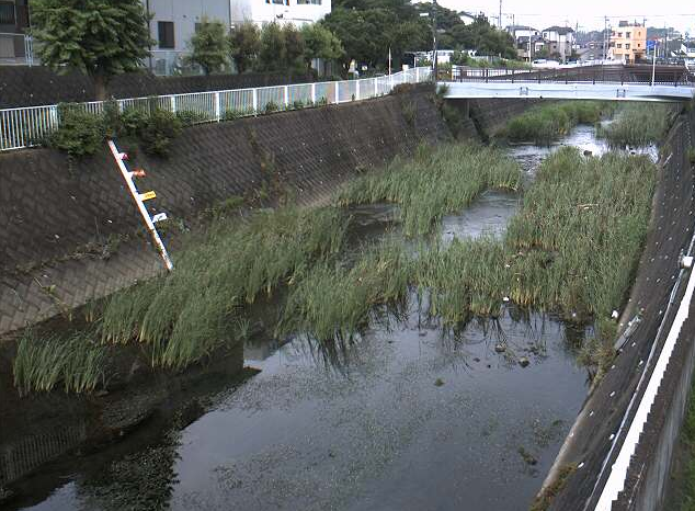 平戸永谷川外郷橋ライブカメラは、神奈川県横浜市戸塚区の外郷橋に設置された平戸永谷川が見えるライブカメラです。
