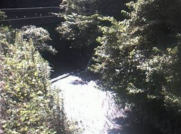 宇美川船石橋ライブカメラは、福岡県宇美町炭焼の船石橋に設置された宇美川が見えるライブカメラです。