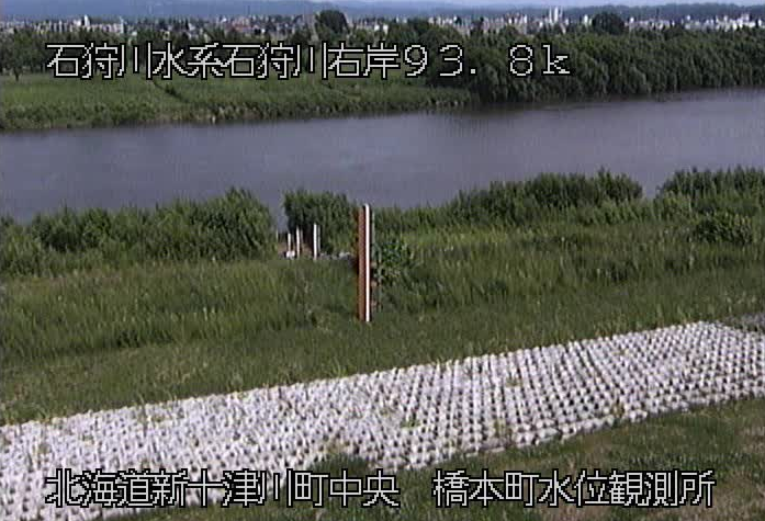 石狩川橋本町水位観測所ライブカメラは、北海道新十津川町中央の橋本町水位観測所に設置された石狩川が見えるライブカメラです。