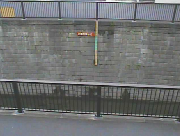 妙正寺川千歳橋ライブカメラは、東京都中野区沼袋の千歳橋に設置された妙正寺川が見えるライブカメラです。