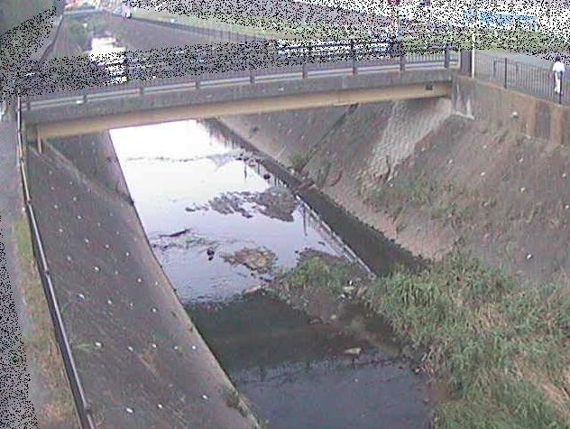 早淵川鍛冶橋ライブカメラは、神奈川県横浜市青葉区の鍛冶橋に設置された早淵川が見えるライブカメラです。