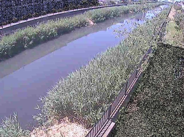 千ノ川富士見橋ライブカメラは、神奈川県茅ヶ崎市浜之郷の富士見橋に設置された千ノ川が見えるライブカメラです。