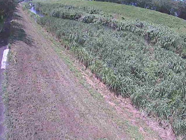 渋田川美里橋ライブカメラは、神奈川県平塚市豊田打間木の美里橋に設置された渋田川が見えるライブカメラです。