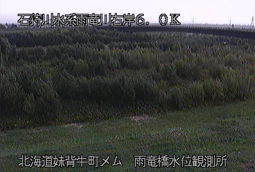 雨竜川雨竜橋観測所ライブカメラ(北海道妹背牛町メム)