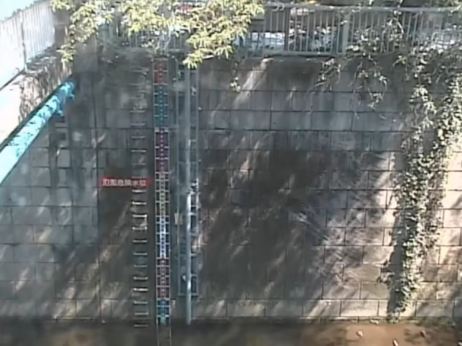 神田川南小滝橋水位観測所ライブカメラ(東京都新宿区北新宿)