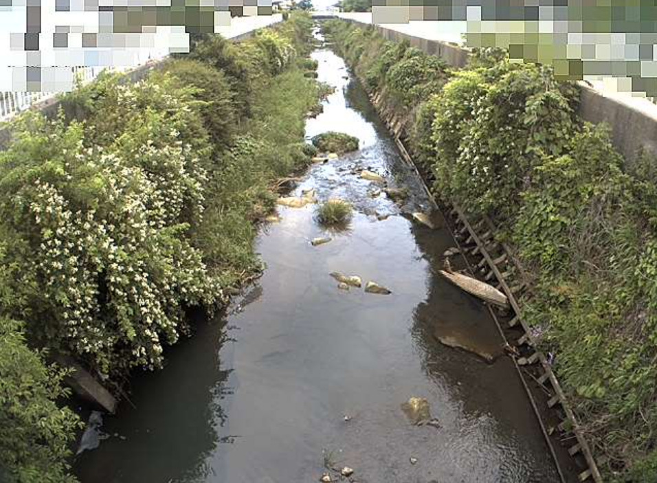 奈良川住吉橋ライブカメラ(神奈川県横浜市青葉区)