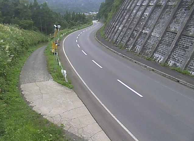 国道117号虫生ライブカメラは、長野県野沢温泉村の虫生に設置された国道117号が見えるライブカメラです。