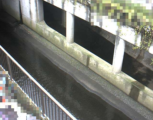 呑川石川町ライブカメラは、東京都大田区の石川町に設置された呑川が見えるライブカメラです。