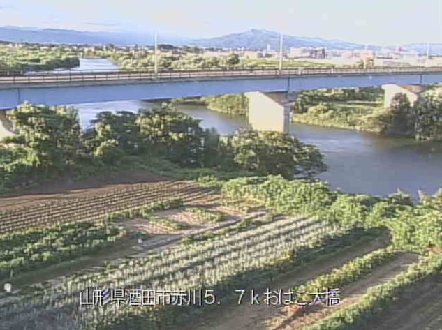 赤川おばこ大橋ライブカメラは、山形県三川町猪子のおばこ大橋に設置された赤川が見えるライブカメラです。