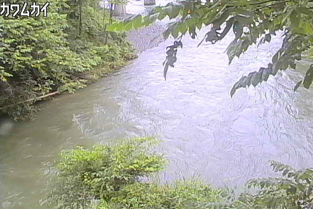 馬淵川川向ライブカメラは、岩手県一戸町小鳥谷の川向に設置された馬淵川が見えるライブカメラです。