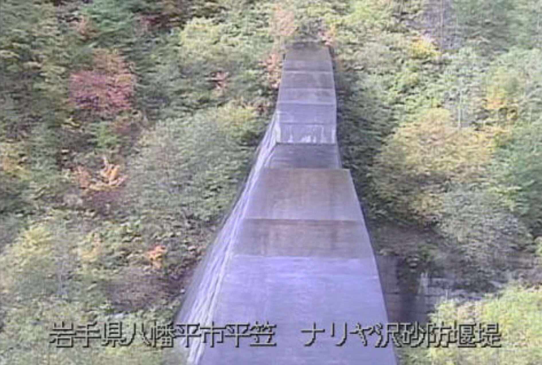 岩手山ナリヤ沢ライブカメラ(岩手県八幡平市平笠)
