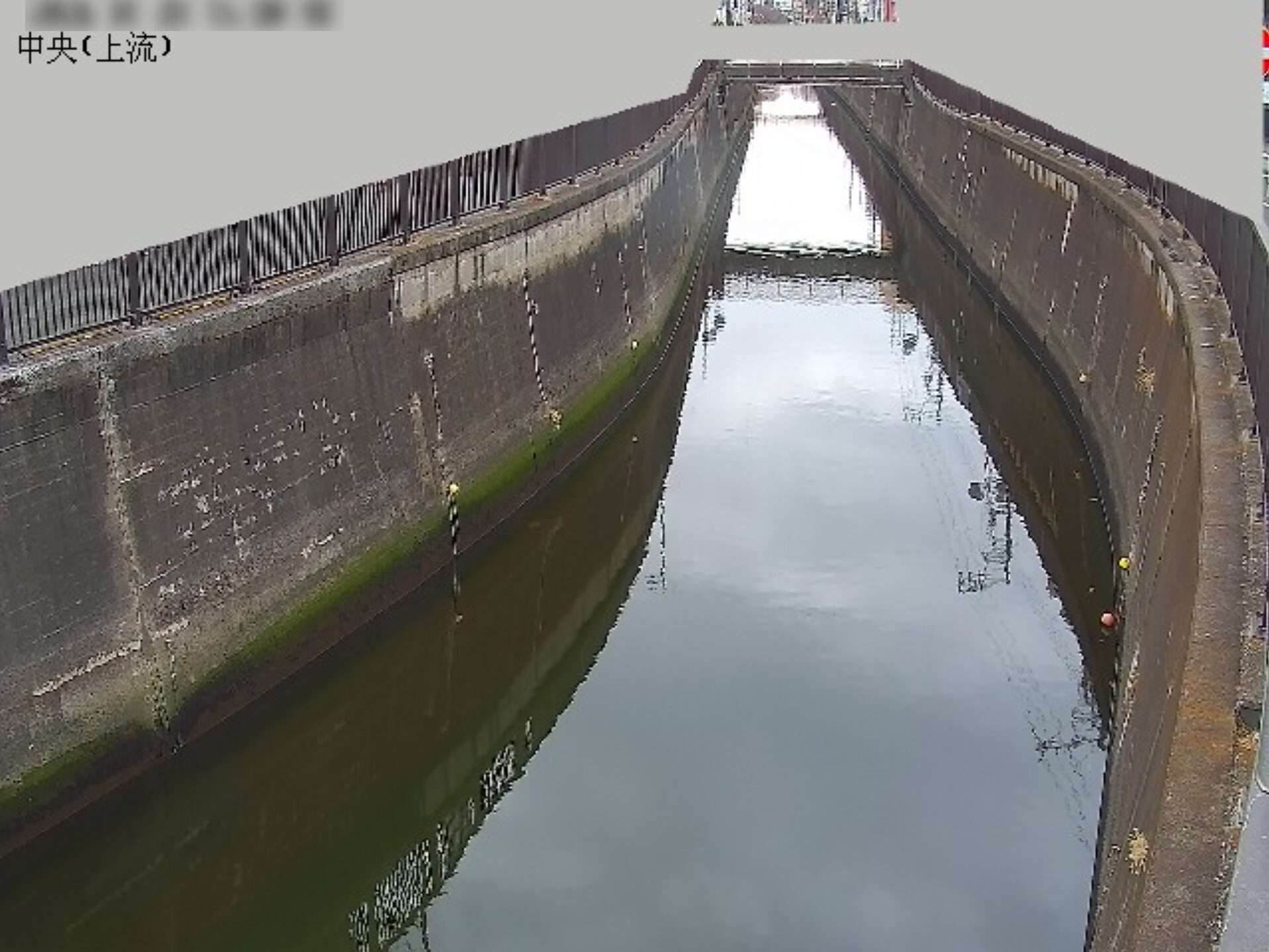 呑川中央ライブカメラ(東京都大田区中央)