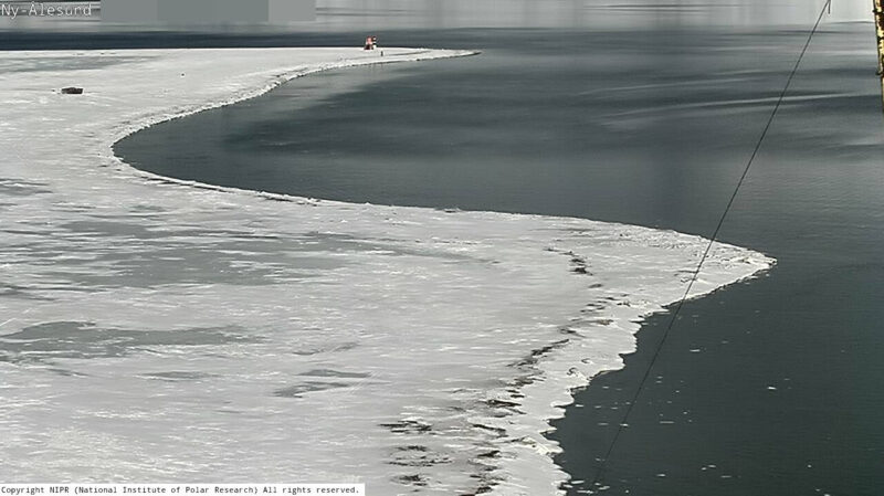 北極ニーオルスン基地第1ライブカメラ(スヴァールバル諸島スピッツベルゲン島)