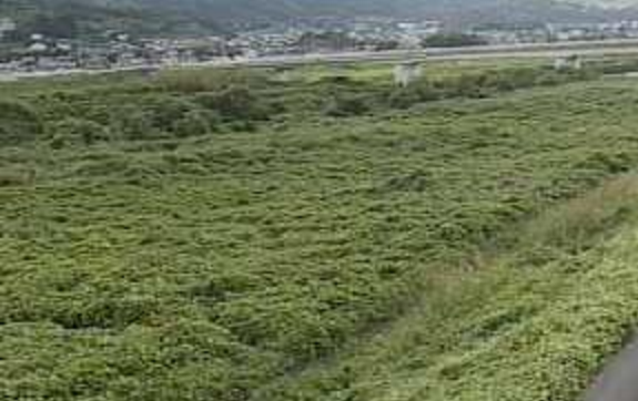 笛吹川桃林橋ライブカメラは、山梨県中央市大田和の桃林橋に設置された笛吹川が見えるライブカメラです。