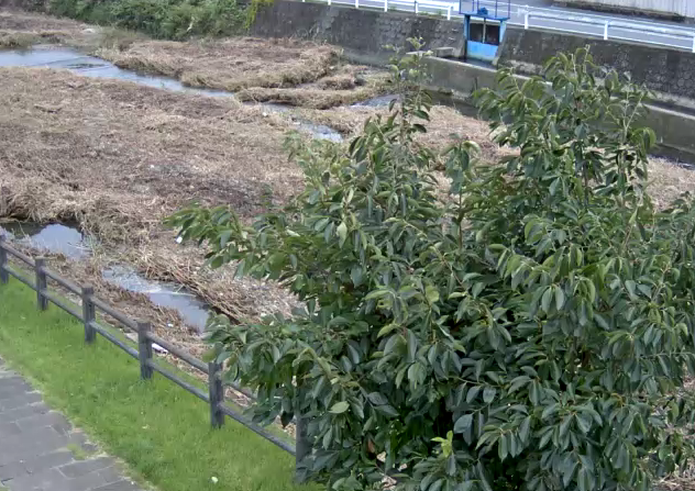 祇園川北郷水路取水口ライブカメラは、佐賀県小城市小城町の北郷水路取水口に設置された祇園川が見えるライブカメラです。