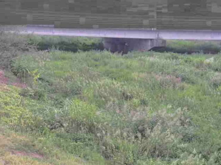 鴨部川井戸川橋ライブカメラは、香川県さぬき市昭和の井戸川橋に設置された鴨部川が見えるライブカメラです。