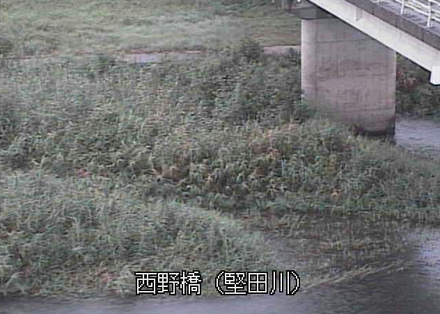 堅田川西野橋ライブカメラは、大分県佐伯市堅田の西野橋に設置された堅田川が見えるライブカメラです。