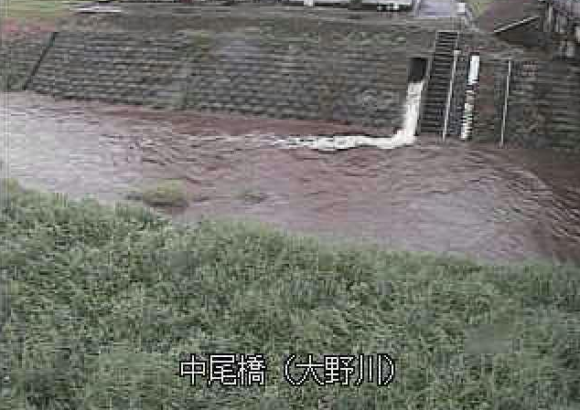 大野川中尾橋ライブカメラは、大分県竹田市吉田の中尾橋に設置された大野川が見えるライブカメラです。